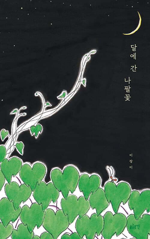 나팔꽃 표지