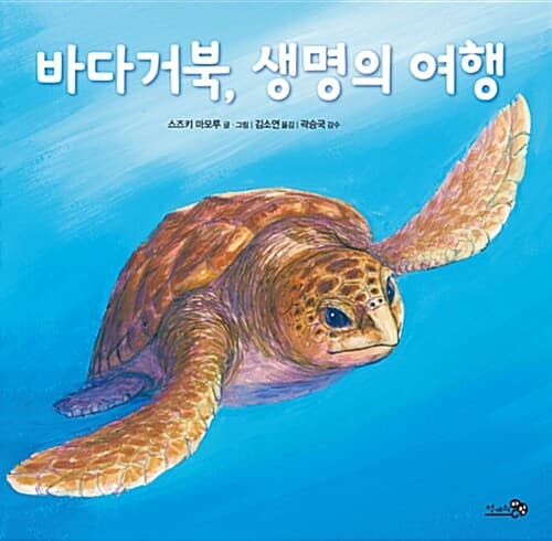 바다거북, 생명의 여행 표지
