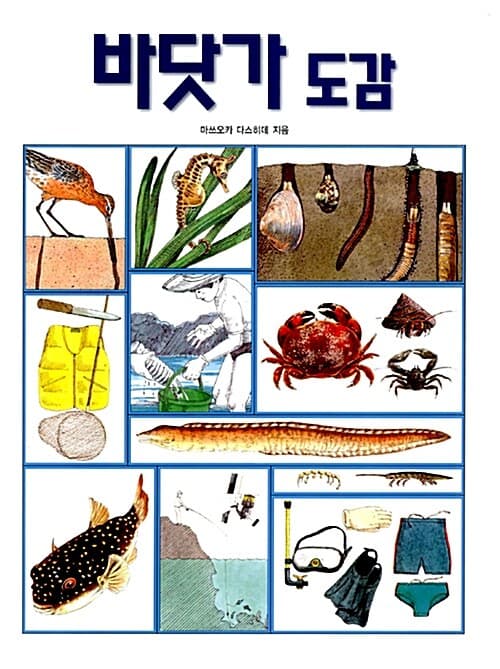 바닷가 도감 표지